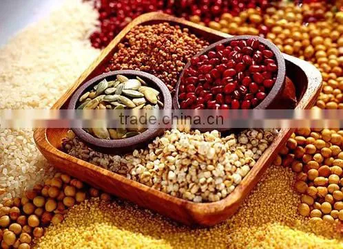 Grain Mill Machine photo-5