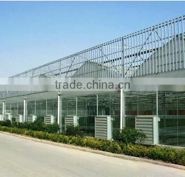 Poultry Farming Equipment 3 Phase Air Cooling Exhaust Fan photo-6