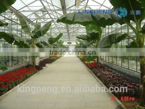 Large Size Multi Span Glass Greenhouse photo-4