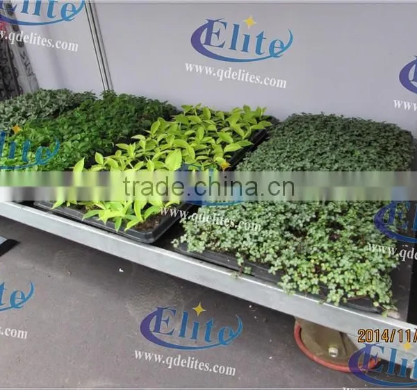 418 Grow Seedlings Trolley photo-5