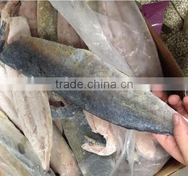 Frozen Mahi Mahi Fish Whole Around (Coryphaena Hippurus) photo-5