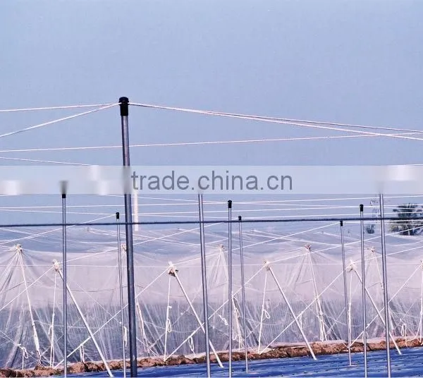 NET HOUSE photo-2