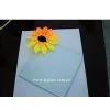 Clear Float Glass/KJ-8008/CE