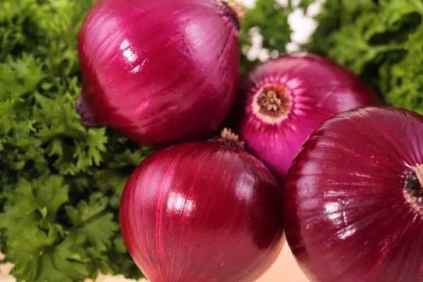 Wholesale Red Onion Fresh Onion Price Wholesale Prices Super Price photo-4