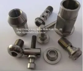 Screwed Fittings and Pipe Plugs