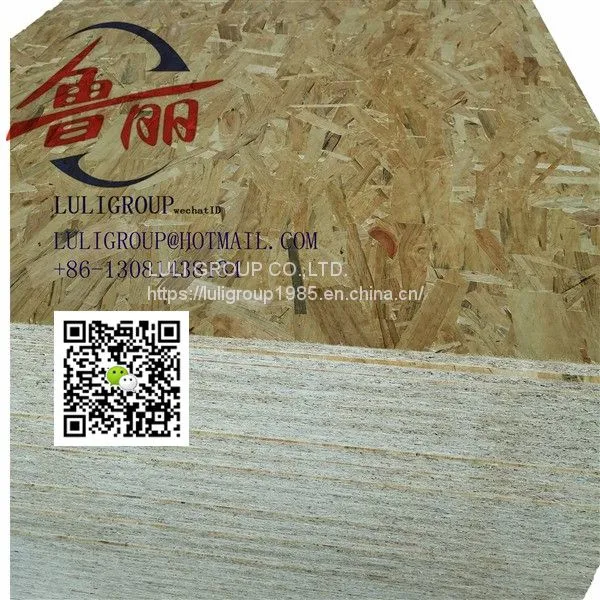 Luligroup Osb5 photo-4
