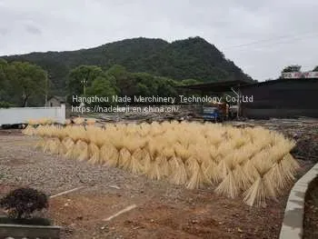 Premium Quality Wood Pellet at Reasonable Price photo-2