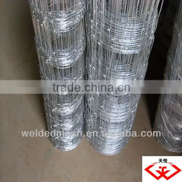 Holland Wire Mesh(factory)
