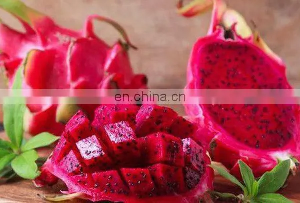 HOT SELLING TROPICAL FRUIT FRESH DRAGON/PITAYA FRUIT FROM VIET NAM photo-2