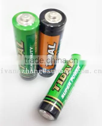 Custom Dry Cell Battery photo-5