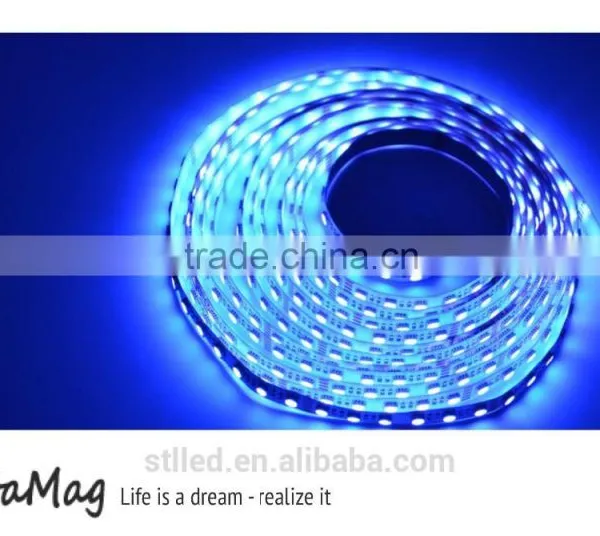Best Price High Quality SMD5050 RGBW Led Strip Light for Clothes photo-4