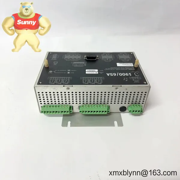 Bently Nevada 1900/65A-00-00-01-00-00 General Purpose Equipment Monitor – Compact Machinery Protection for Pumps, Fans, and Motors photo-2