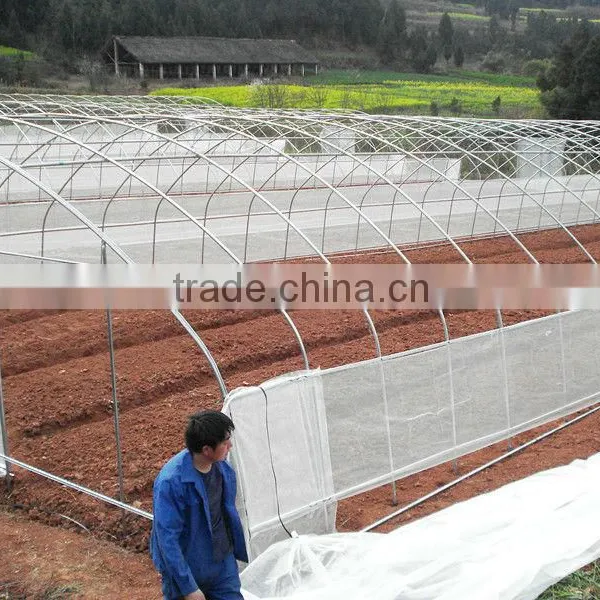 Tunnel Plastic Greenhouse Film Agriculture photo-3
