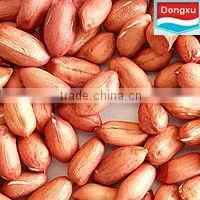 Whole Peanut Kernel