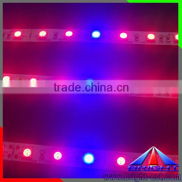 Red and Blue 660nm 440m Led Strip Light photo-6