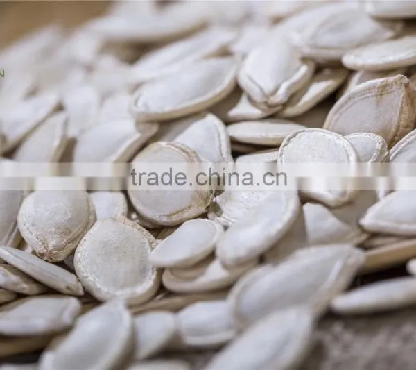 Dalian East Dawn Shine Skin Pumpkin Seeds Suppliers photo-2
