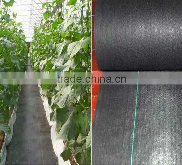Anti-UV PP Woven Agricultural Weed Mat