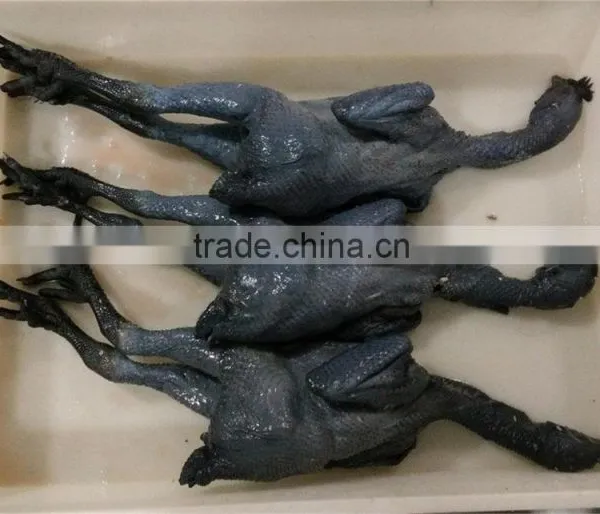 Halal Whole Frozen Chicken