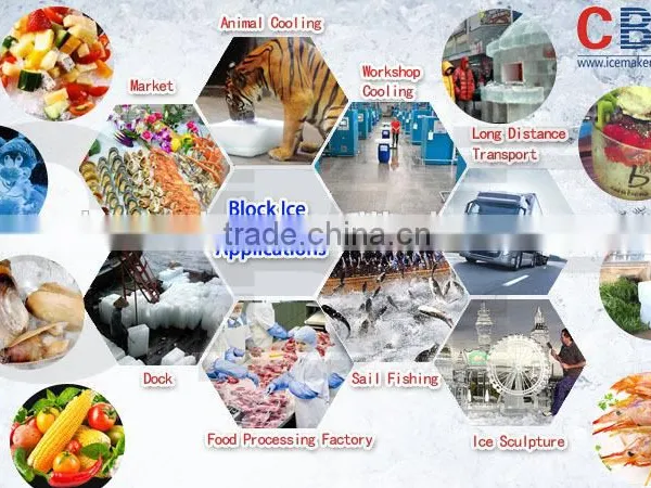 Newest Top Quality Commercial Ice Block Making Machine for Africa photo-3