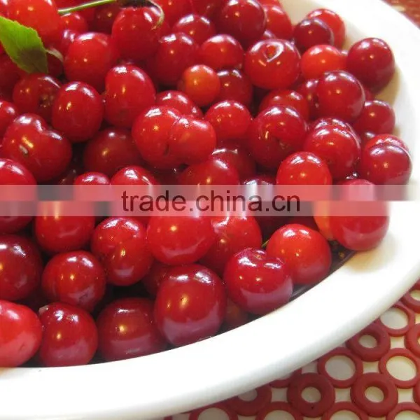 We Are Supply Canned Fruits ,sweet Canned Cherry Good Quality Quality Choice photo-4