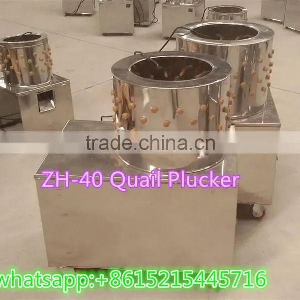 High Quality High Efficient ZH-40 Quail Plucker for Sale photo-3