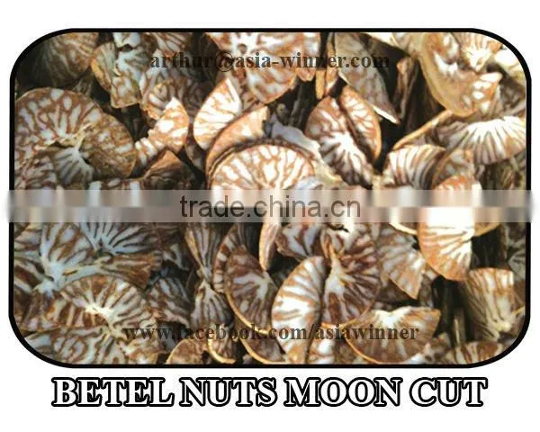 Areca Catechu [Moon Cut]