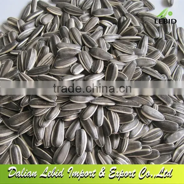 2014 Crop 5009 Sunflower Seeds 5009 24/64 American Type Lower Price
