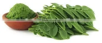 SPECIAL OFFER INDIAN MORINGA POWDER BULK