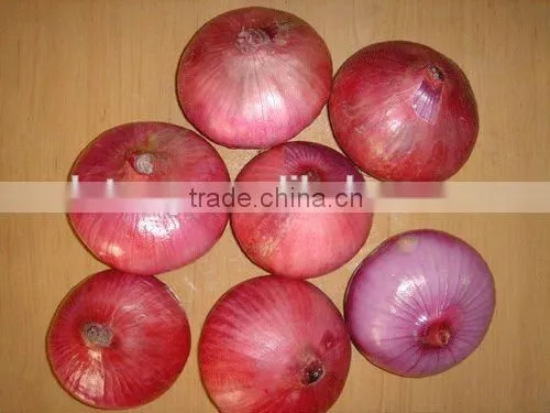Chinese Red Onion Yellow Onion From Shandong photo-5