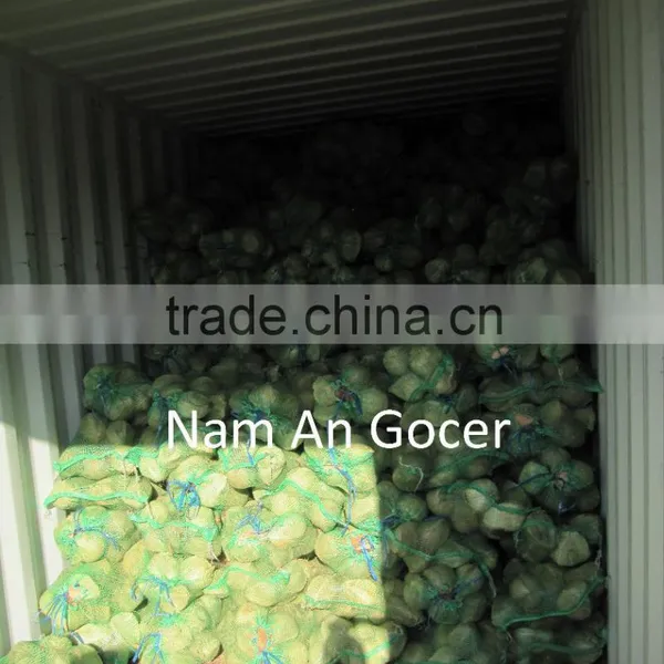 Mature Coconut, Dried Coconut photo-3