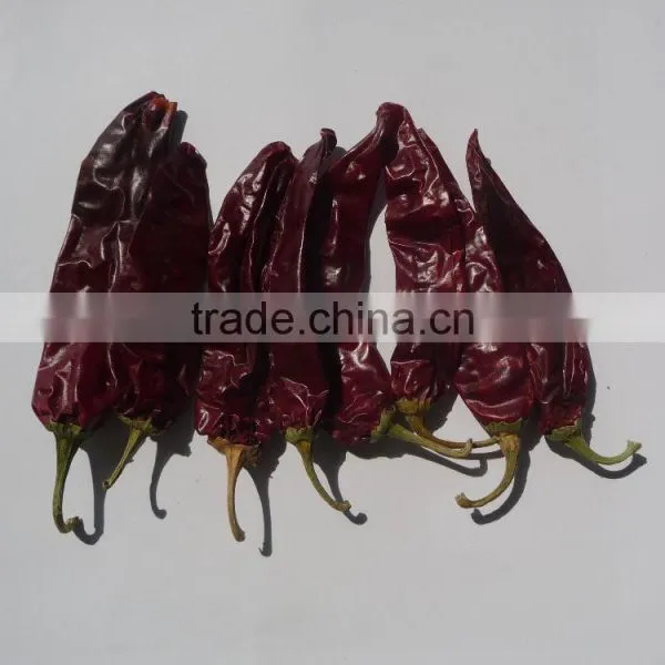 Chinese Manufacturer Supplier A Grade ISO, HACCP, HALAL Certification 80-240 Asta Hot Selling Red Sweet Pepper Chilli photo-2