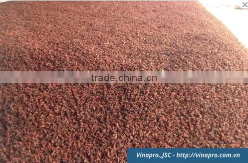 VIETNAM AUTUMN STAR ANISEED, HIGH QUALITY, BEST PRICE (+841657106604 - WHATSAPP) photo-2