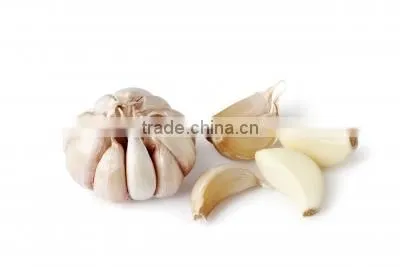 New Style Automatic Electric Normal Garlic Shallot Skin Removing Peeler Peeling Machine photo-6