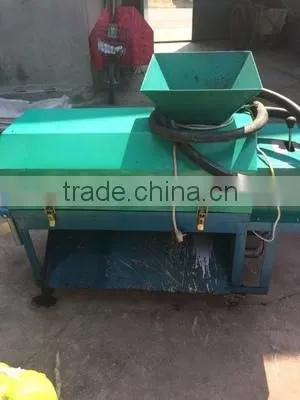 Green Fruit Vegetable Walnut Peeler +8618637188608 photo-3