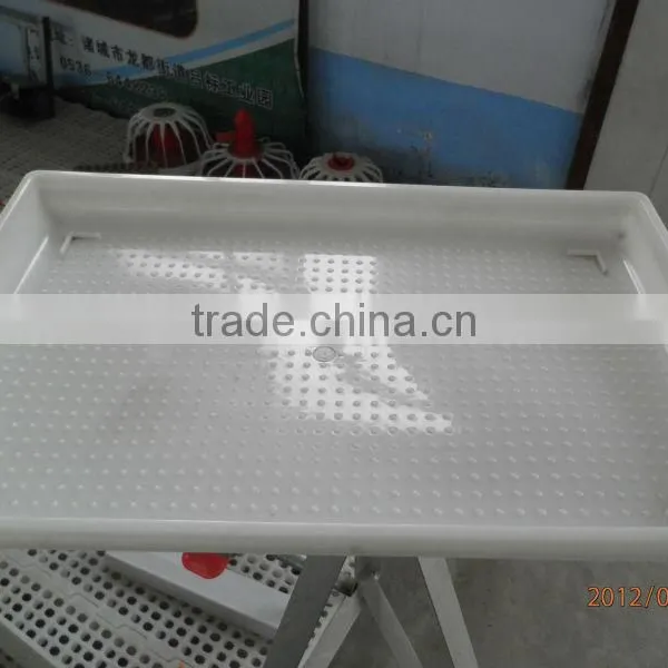Chicken Food Tray