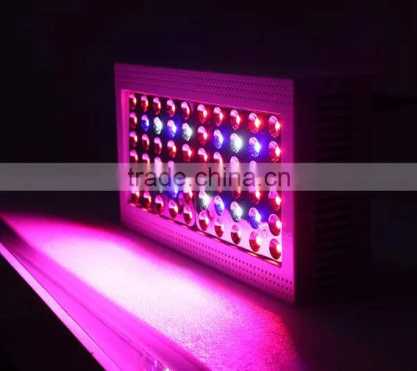 China Wholesale Led Grow Light CXB3590 Led Grow Light With Lowest Price. photo-5