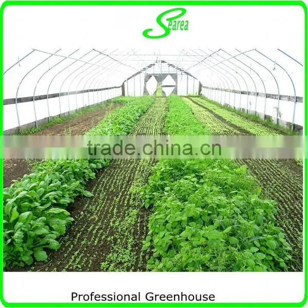 Tunnel Farming Greenhouse for Agriculture photo-4