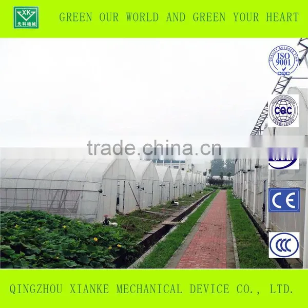 Large Venlo Film Greenhouse for Seeding photo-4