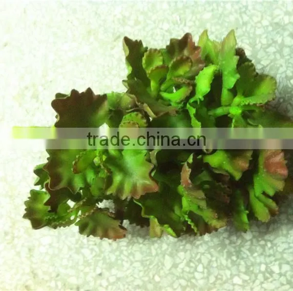Home and Outdoor Garden Edging Christmas Decoration 60cm or 24inches Height Artificial Small Grass for Green Wall E04 1006 photo-3