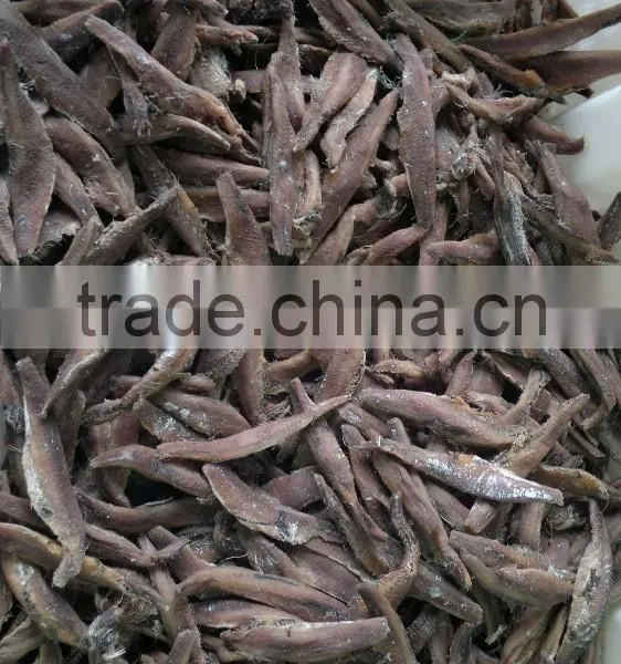 Salted Anchovy Fillet for Sale photo-4