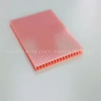XINHAI Twin Wall Polycarbonate Sheet Price Buildingmaterial photo-2