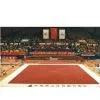 Free Gymnastics Field,gymnastics Mat,gymnastics Fields