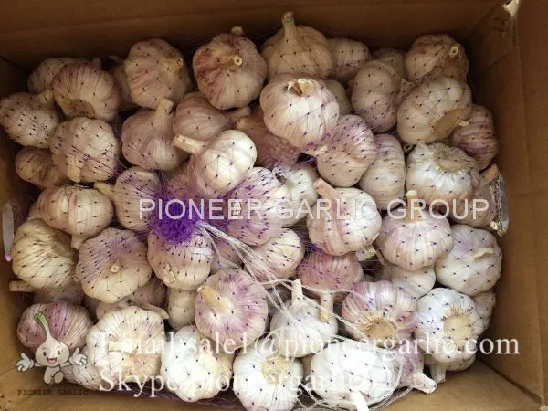 4.5cm 5cm 5.5cm Normal White Garlic Small Packing 1n 10kg Carton Box photo-2