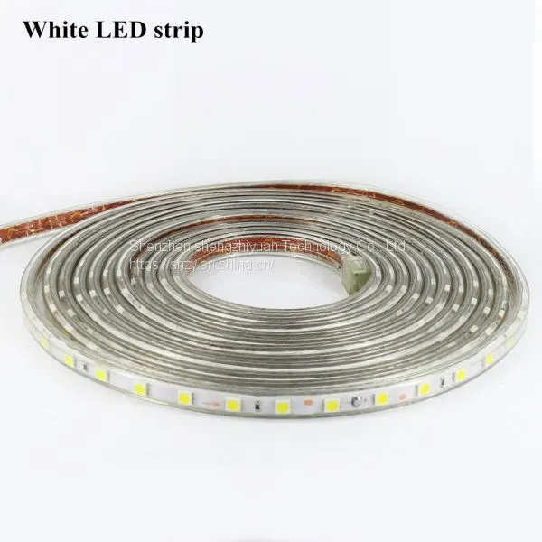 220V 60leds/m IP67 Waterproof Led Light Strip SMD5050 1 Meter Flexible Led Strip Light Christmas Party Led Flexible Tape photo-3