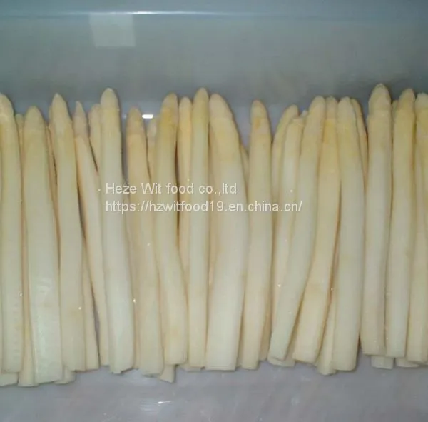 IQF White Asparagus Counts and Center Cuts photo-2