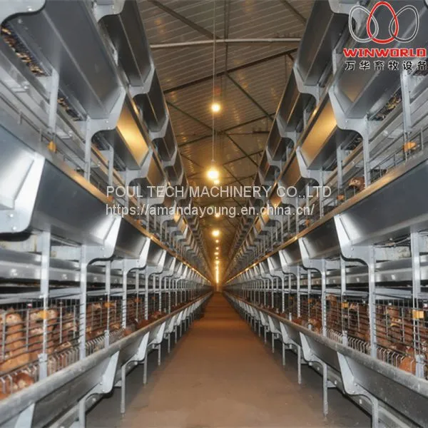 Bolivia Brooding Room - H Type Automatic Chicks Cage & Pullet Cage With Poultry Climate Control System photo-2