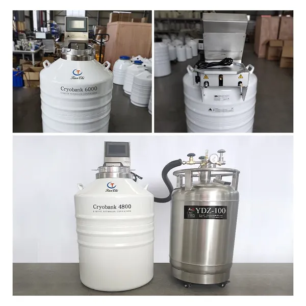 Australia Ln2 Cryogenic Freezer KGSQ Freezing Container photo-2
