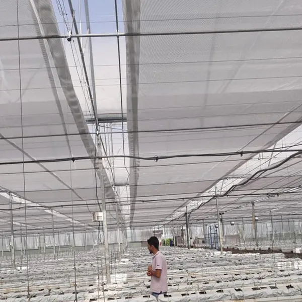 2025 Top Quality Greenhouse Thermal Screen photo-5