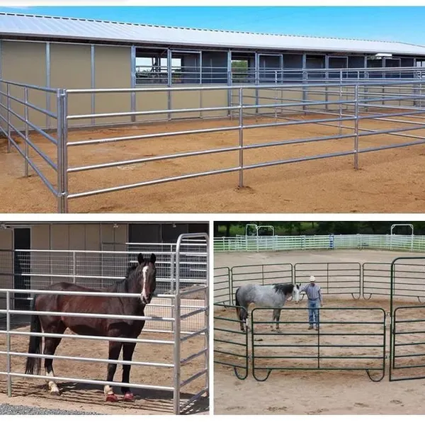 Australian Standard Galvanized Cattle Crush Panels for Livestock Handling Equipment photo-4