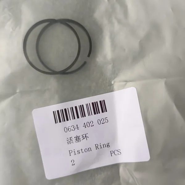 ZF Piston Ring 0634402025 in stock